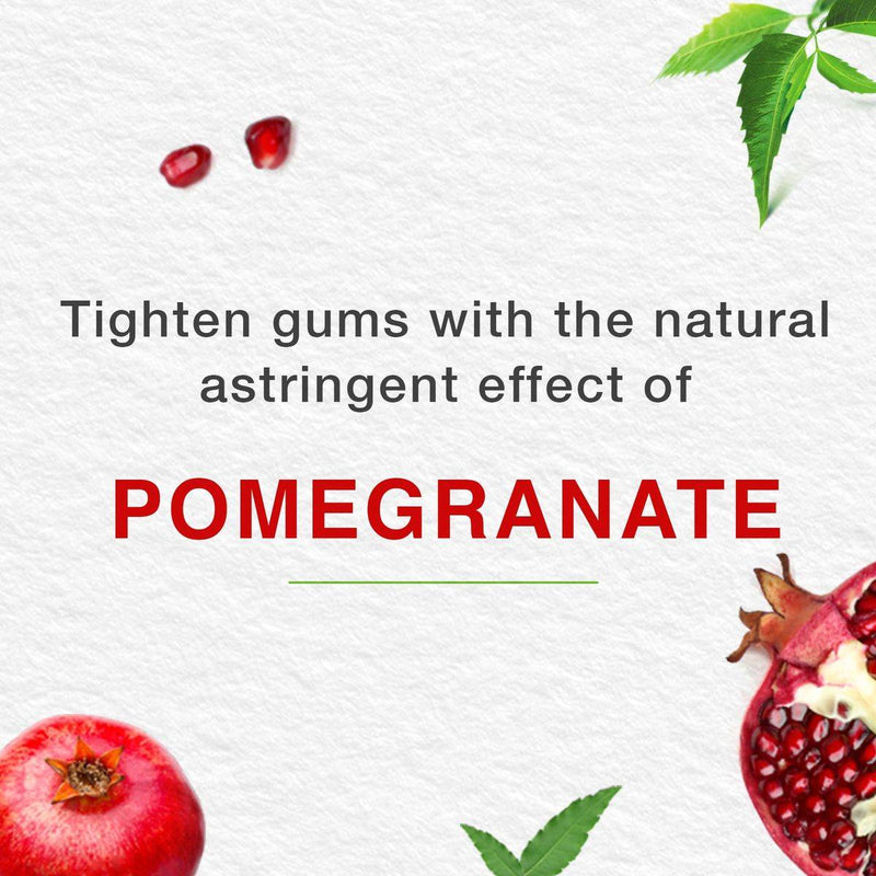 Himalaya Toothpaste Complete Care 100ml