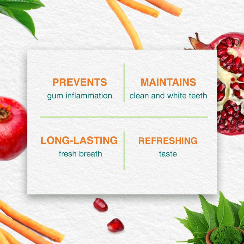 Himalaya Toothpaste Complete Care 100ml