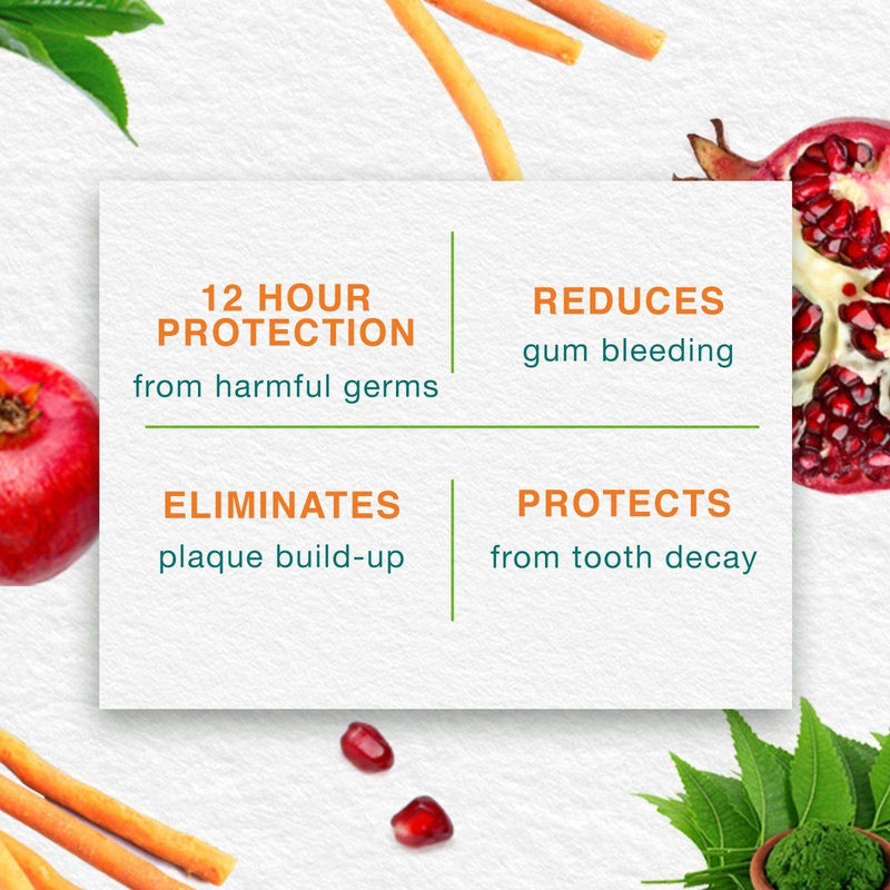 Himalaya Toothpaste Complete Care 100ml