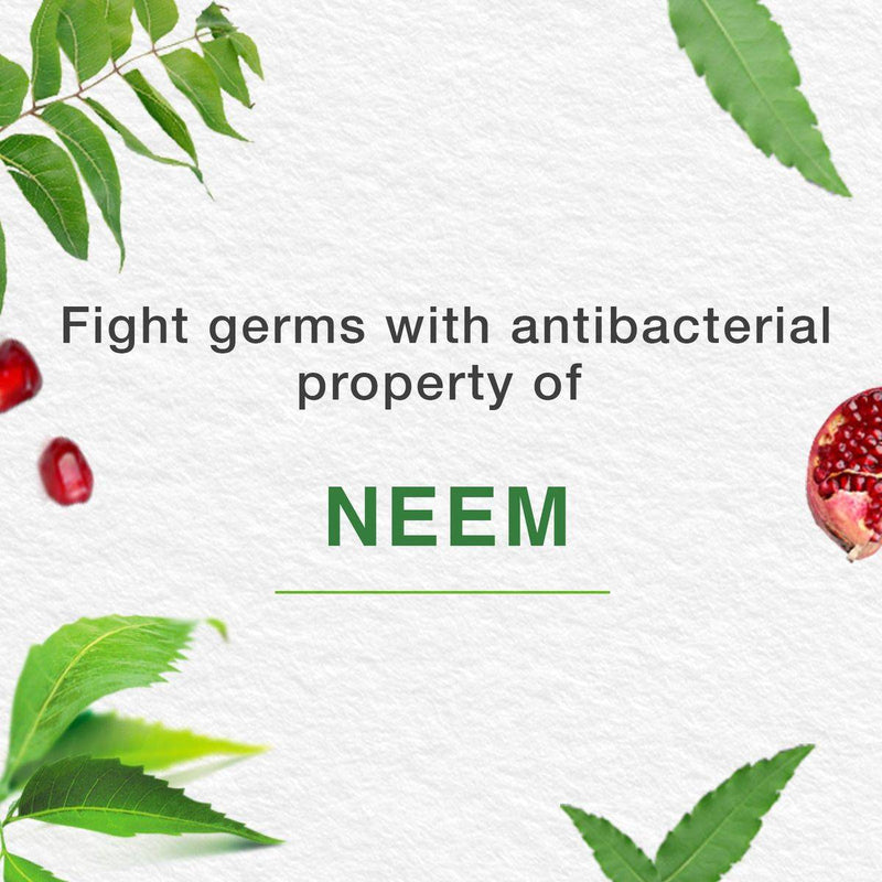 Himalaya Toothpaste Complete Care 100ml