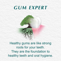 Himalaya Toothpaste Complete Care 100ml