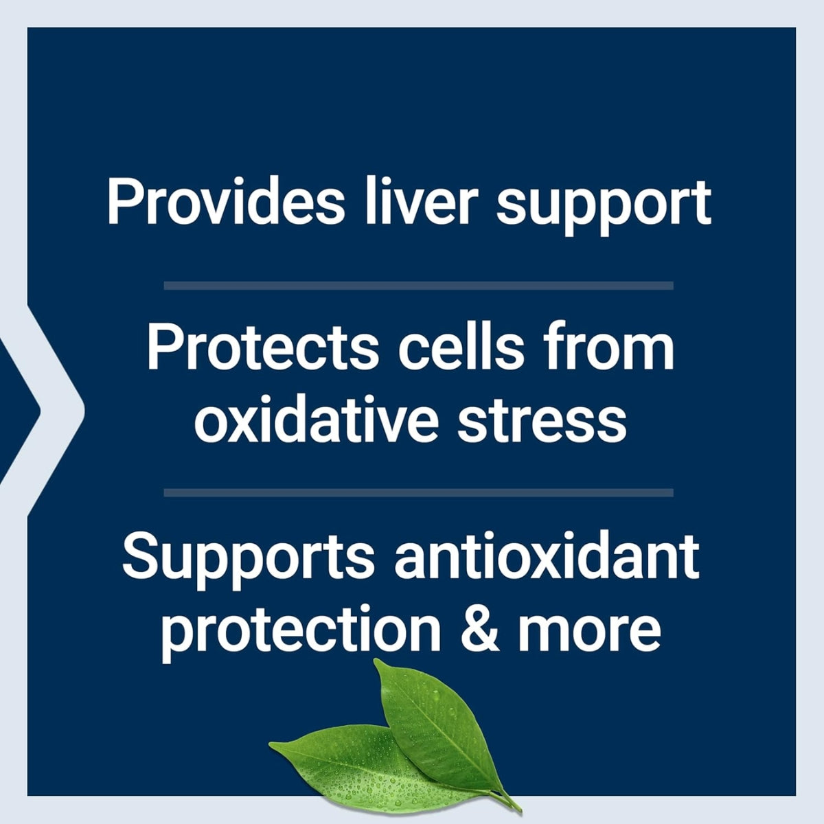natural sources of l carnitine L-Carnitine: The Energy Nutrient — Jo Mar Labs natural sources of l carnitine L-Carnitine: The Energy Nutrient — Jo Mar Labs