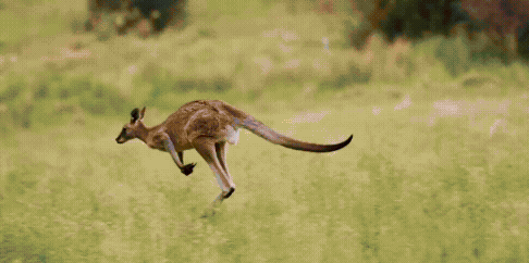 Nature’s Finest from Australia