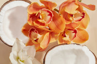 Haan Body Lotion Wild Orchid 250ml