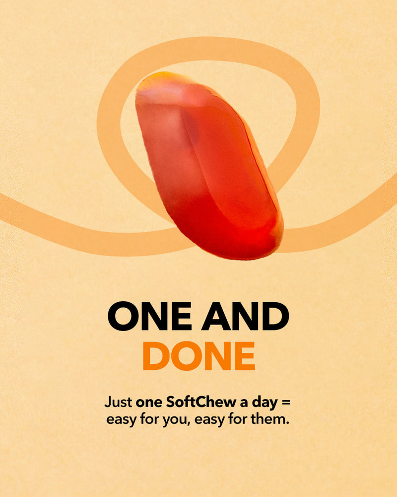 Childlife Multivitamin 27 Gummies