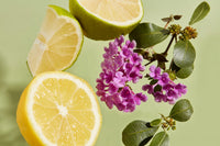 Haan Deodorant Purifying Verbena 12ml