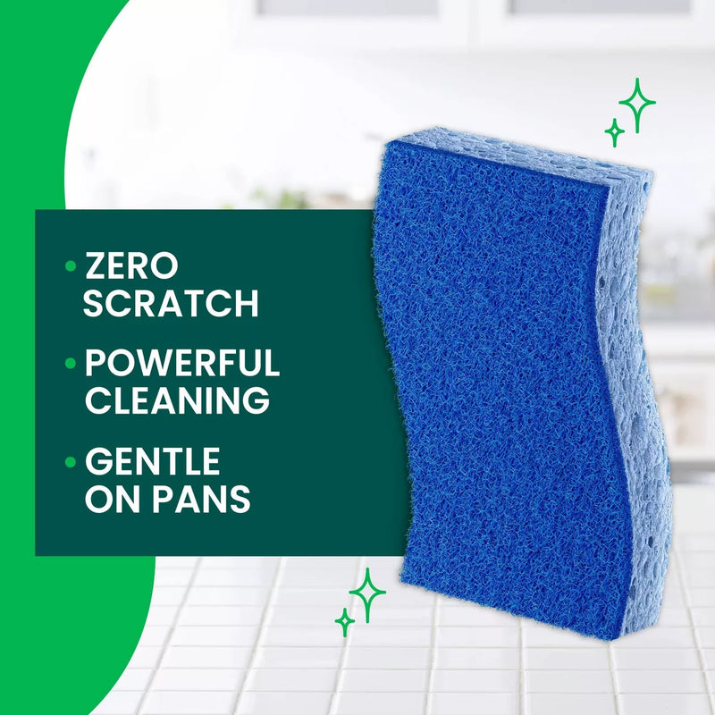 Scotch-Brite Scrub Sponge Non Scratch 2 Packs