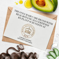 Herbal Essences Bio Renew Aloe + Avocado Oil Conditioner 400ml