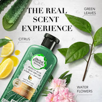 Herbal Essences Bio Renew Aloe + Avocado Oil Conditioner 400ml
