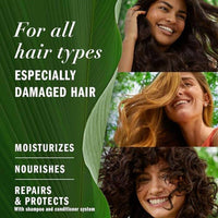 Herbal Essences Bio Renew Aloe + Avocado Oil Shampoo 400ml