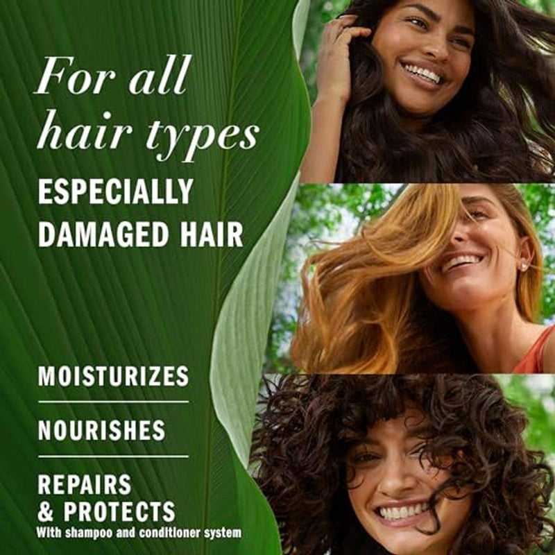 Herbal Essences Bio Renew Aloe + Avocado Oil Shampoo 400ml