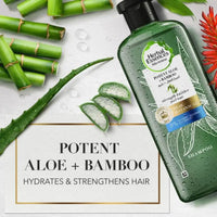 Herbal Essences Bio Renew Aloe + Bamboo Shampoo 400ml
