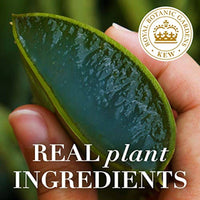 Herbal Essences Bio Renew Aloe + Mango Shampoo 400ml