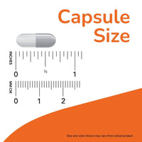 Now Probiotic 10 25 Billion 100 VegeCapsules