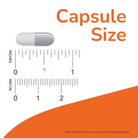 Now Probiotic 10 25 Billion 50 VegeCapsules