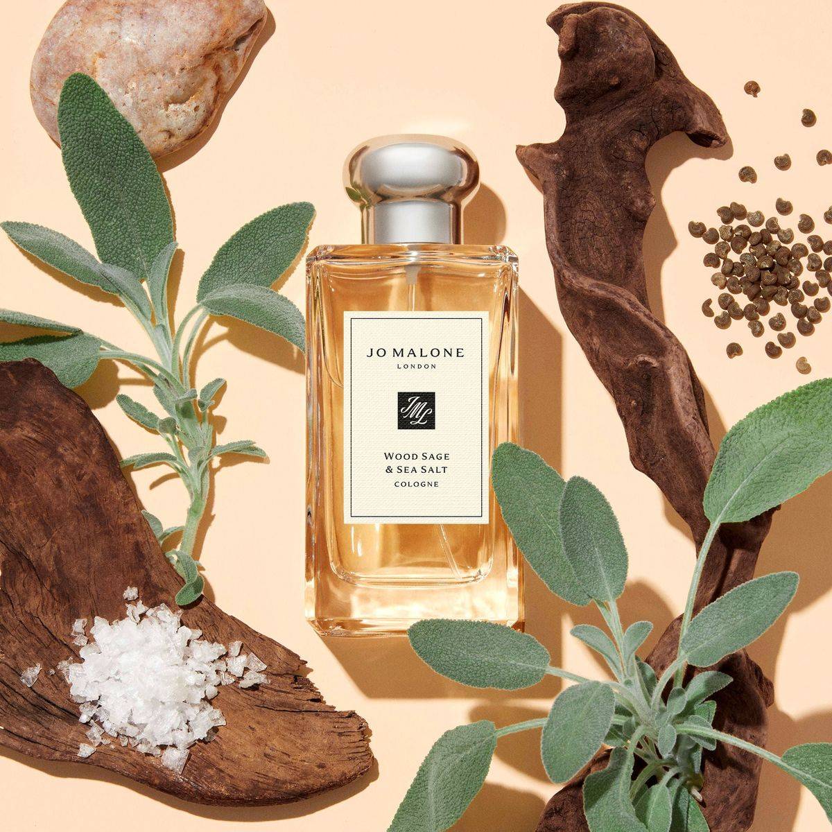 Jo Malone Wood Sage & Sea Salt (U) Cologne 100ml – Chemist