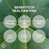 Real Paw Paw Ointment 75g