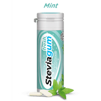 Steviagum Fresh Chewing Gum Spearmint 30g