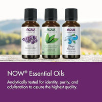Now Essential Oil 100% Pure Ginger 30ml