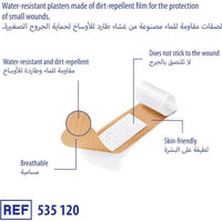 Dermaplast Universal Plasters Assorted 20 Pieces
