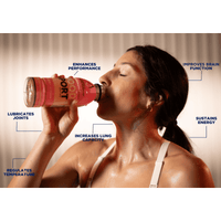 Good Sport Sports Drink Mango 500ml