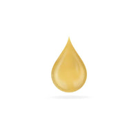 Ginjer Forte Ginger Extract Drops 20ml