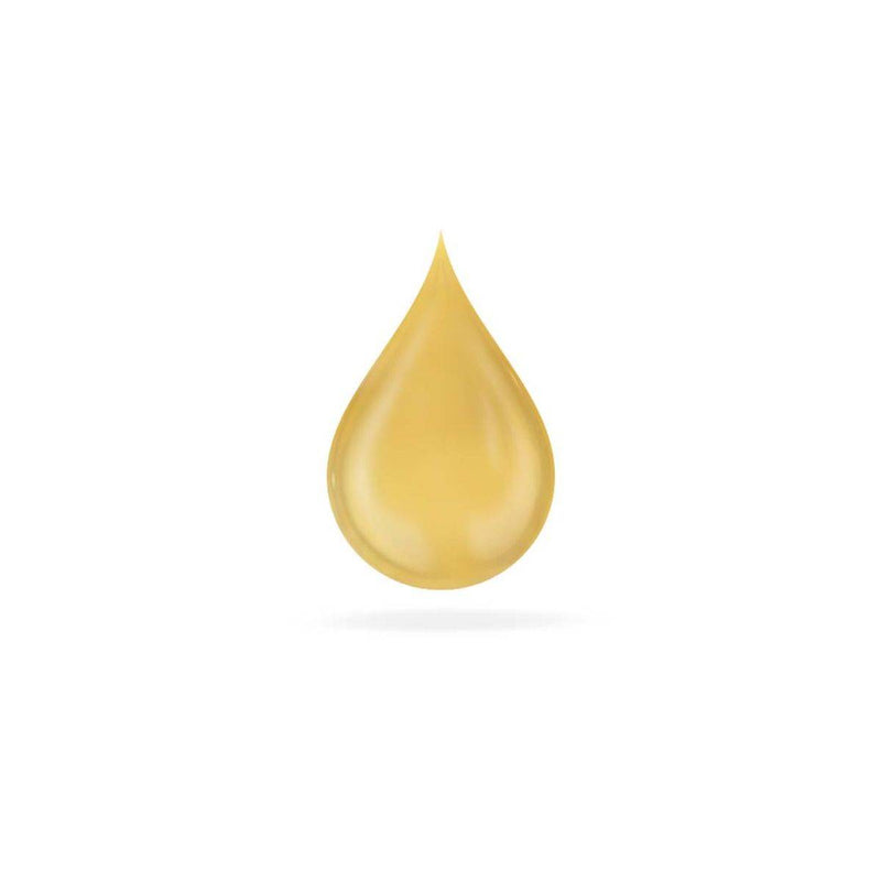 Ginjer Forte Ginger Extract Drops 20ml