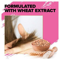 Toni & Guy Volume Addiction Conditioner 250ml