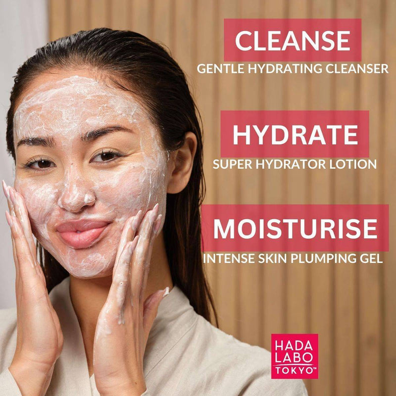 Hada Labo Tokyo Moisturising Facial Sheet Mask