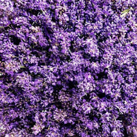 Weleda Aroma Relax Shower Gel 200ml