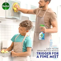 Dettol Antibacterial Surface Cleanser 500ml