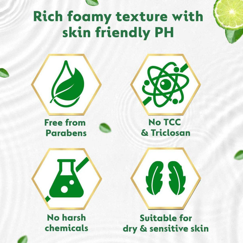 Dettol Antibacterial Handwash Activ Botany Green Tea & Bergamot 200ml