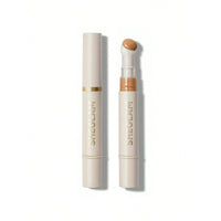 Sheglam Complexion Boost Concealer Honey 4.5g