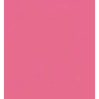 Sheglam Pout Perfect Shine Lip Plumper Pink 
Flamingo 2g