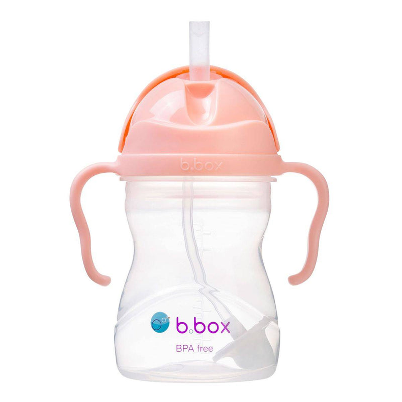B.Box Toddler Sippy Cup Tutti Frutti 240ml