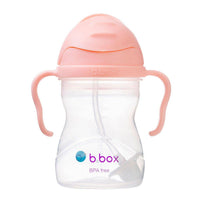 B.Box Toddler Sippy Cup Tutti Frutti 240ml