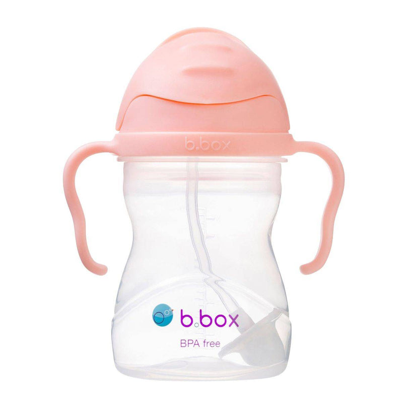 B.Box Toddler Sippy Cup Tutti Frutti 240ml