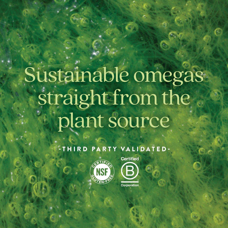 New Chapter Vegan Omega 3 Complex 30 Softgels