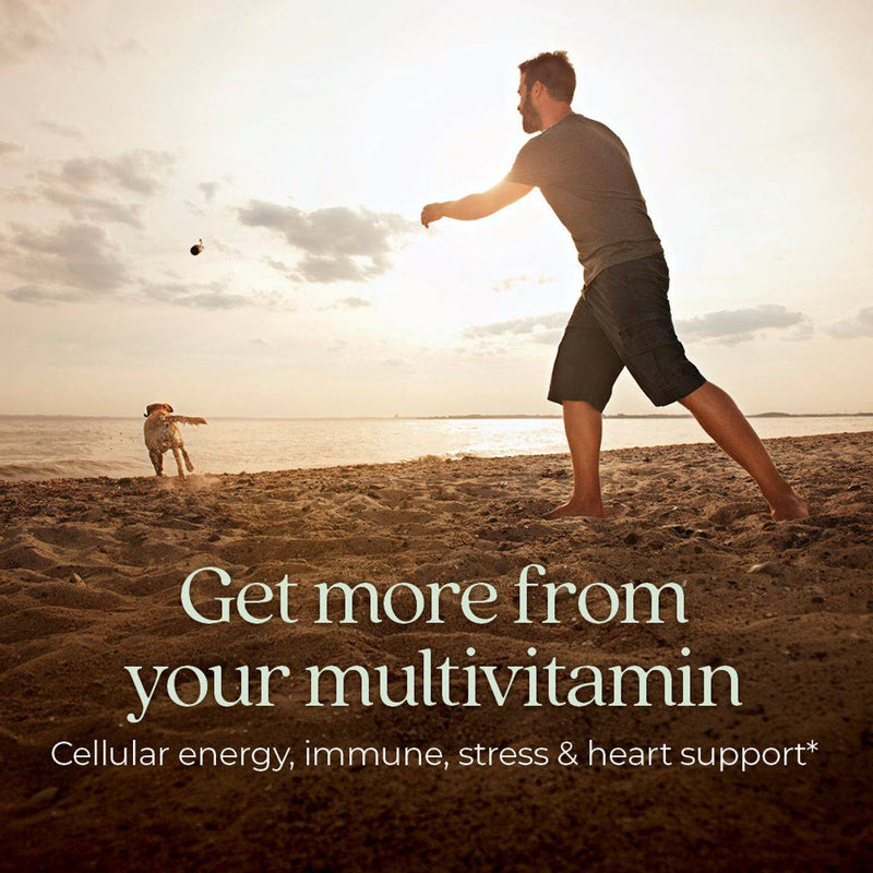 New Chapter One Daily Every Mans 18+ Multivitamin 30 Tablets