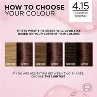 Loreal Paris Excellence 4.15 Dark Frost Brown