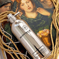 Montale Vanille Absolu Eau de Parfum 100ml