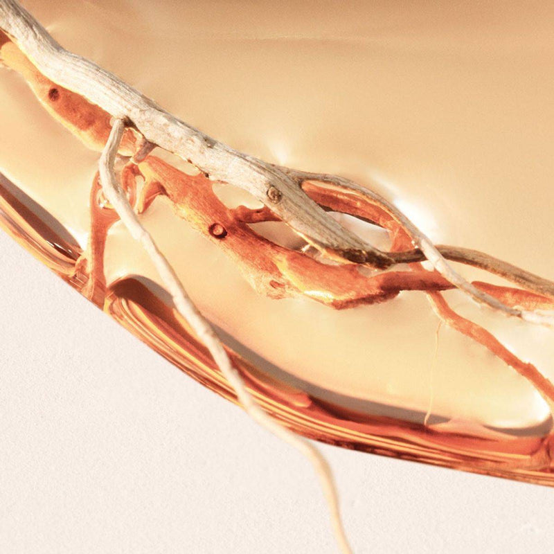 Hugo Boss Alive Intense Eau de Parfum 30ml