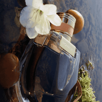 Chloe Nomade Eau de Parfum 50ml