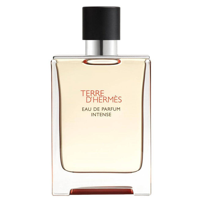 Hermes Terre D'Hermes Eau de Parfum Intense 100ml