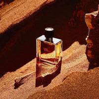 Hermes Terre D'Hermes Parfum 75ml