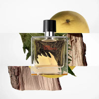 Hermes Terre D'Hermes Parfum 75ml
