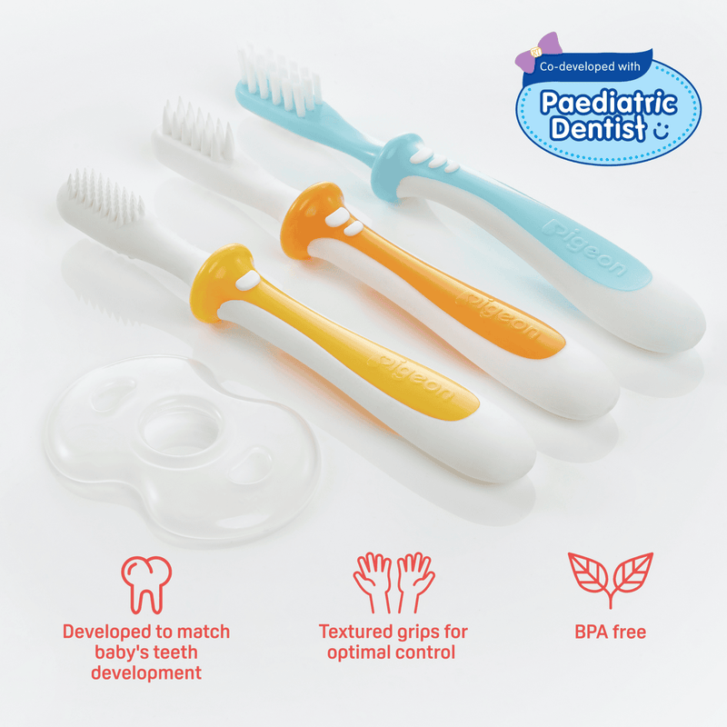 Pigeon Trainer Toothbrush Set