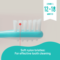 Pigeon Trainer Toothbrush Set