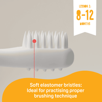 Pigeon Trainer Toothbrush Set
