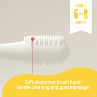 Pigeon Trainer Toothbrush Set